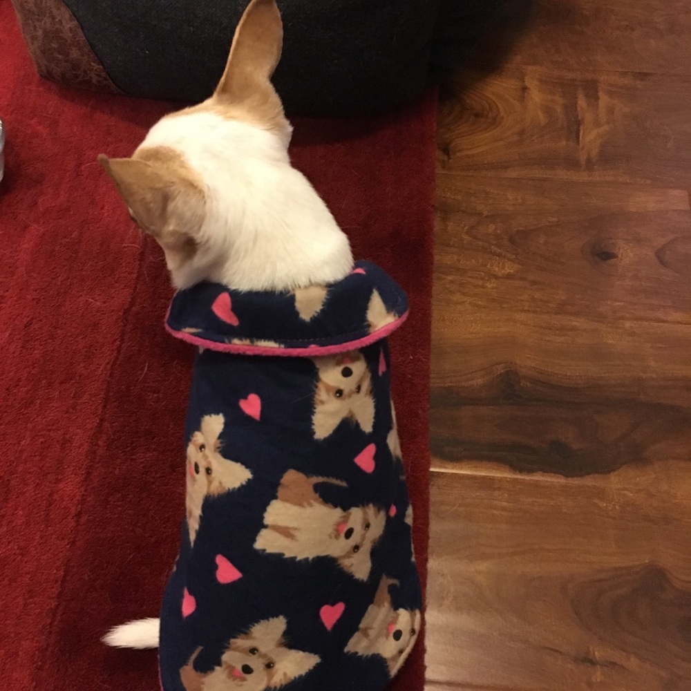Handmade dog jacket ๐ dog sweater - Picture 3 of 7